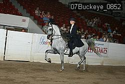 07Buckeye_0852 proof