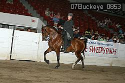 07Buckeye_0853 proof
