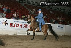 07Buckeye_0855 proof