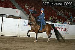 07Buckeye_0856 proof
