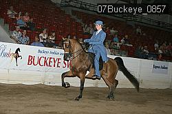 07Buckeye_0857 proof