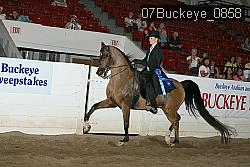 07Buckeye_0858 proof