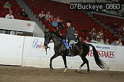07Buckeye_0860 proof