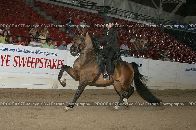 Proof 07Buckeye_0863