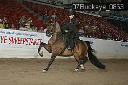 07Buckeye_0863 proof