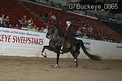 07Buckeye_0865 proof