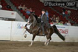07Buckeye_0867 proof