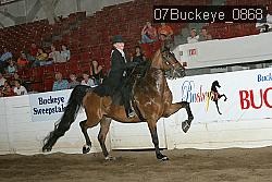 07Buckeye_0868 proof