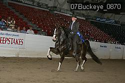 07Buckeye_0870 proof