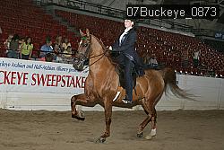 07Buckeye_0873 proof