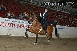 07Buckeye_0875 proof