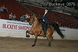 07Buckeye_0876 proof