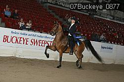 07Buckeye_0877 proof