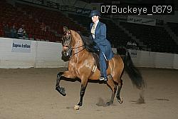 07Buckeye_0879 proof