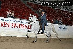 07Buckeye_0880 proof