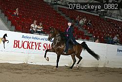 07Buckeye_0882 proof