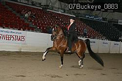 07Buckeye_0883 proof