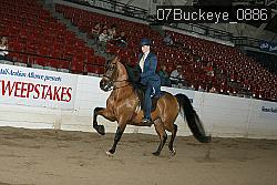 07Buckeye_0886 proof