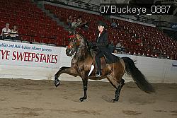07Buckeye_0887 proof
