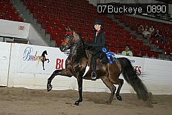 07Buckeye_0890 proof