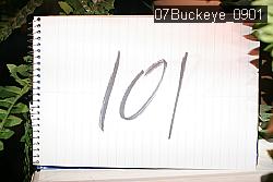 07Buckeye_0901 proof