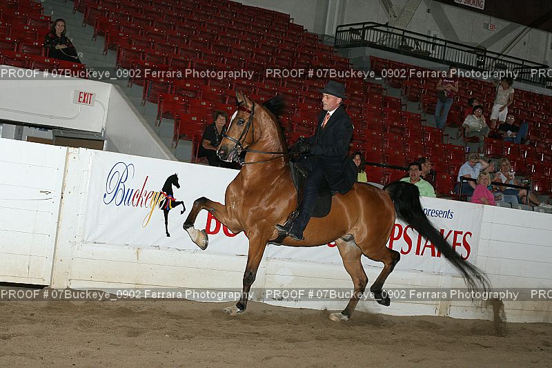 Proof 07Buckeye_0902