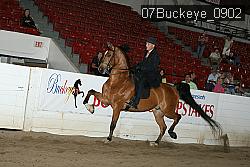 07Buckeye_0902 proof