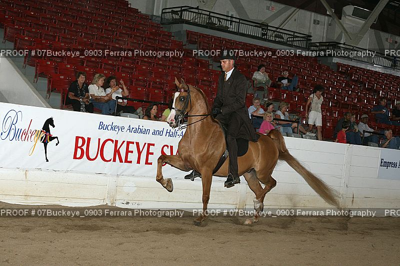 Proof 07Buckeye_0903
