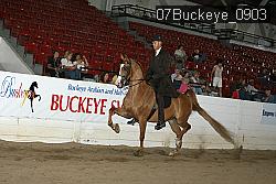 07Buckeye_0903 proof
