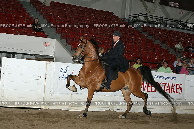 Proof 07Buckeye_0904