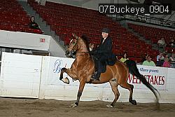 07Buckeye_0904 proof