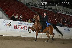 07Buckeye_0905 proof