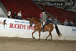 07Buckeye_0907 proof