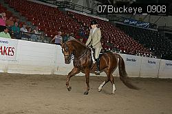 07Buckeye_0908 proof