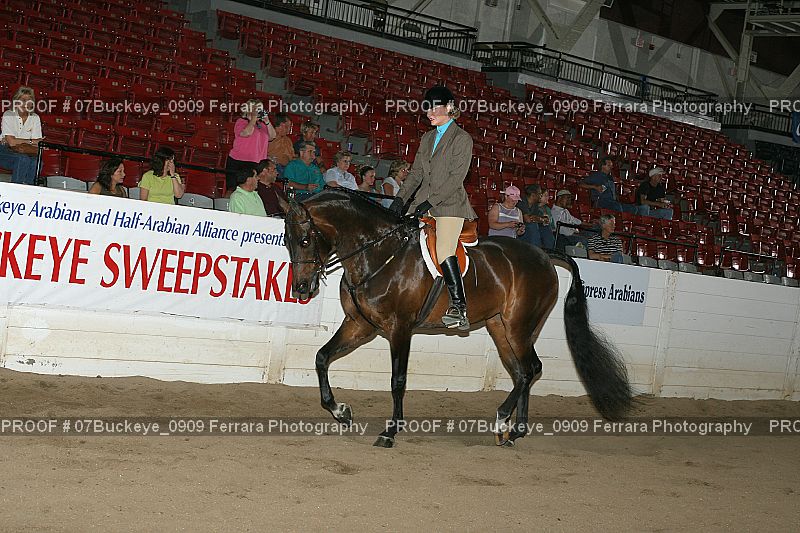 Proof 07Buckeye_0909