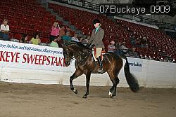 07Buckeye_0909 proof