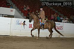07Buckeye_0918 proof