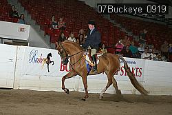 07Buckeye_0919 proof