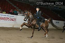 07Buckeye_0924 proof