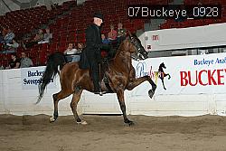 07Buckeye_0928 proof