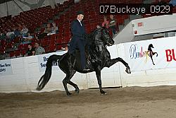 07Buckeye_0929 proof