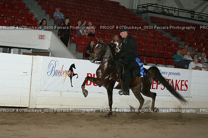 Proof 07Buckeye_0930