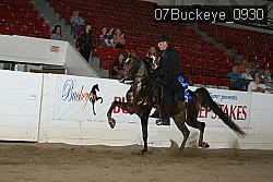 07Buckeye_0930 proof