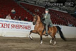 07Buckeye_0962 proof