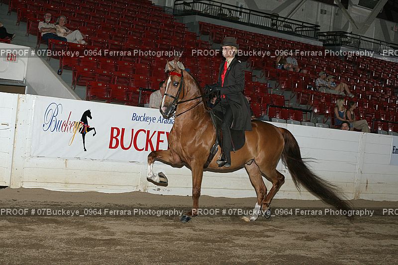 Proof 07Buckeye_0964