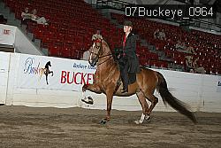 07Buckeye_0964 proof