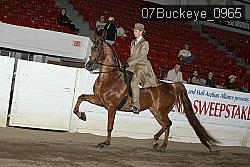 07Buckeye_0965 proof