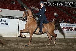 07Buckeye_0967 proof