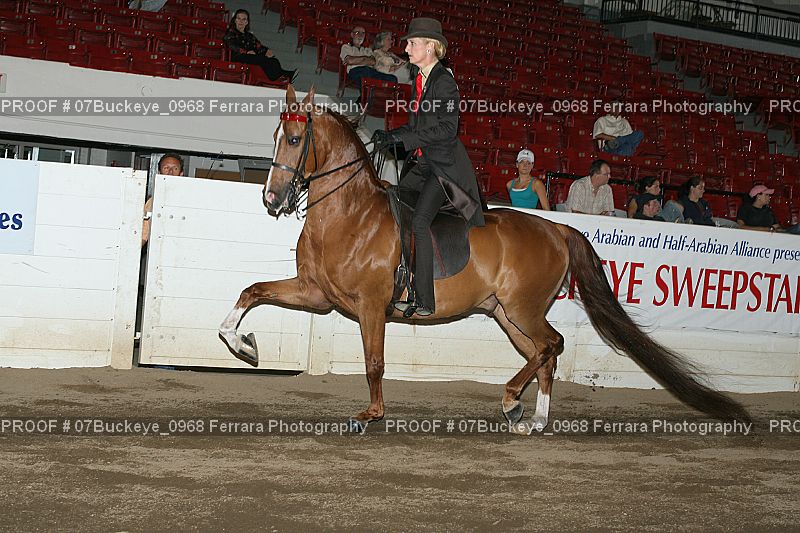 Proof 07Buckeye_0968