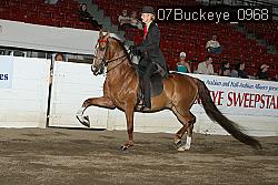 07Buckeye_0968 proof